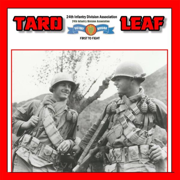La 24.ª División de Infantería